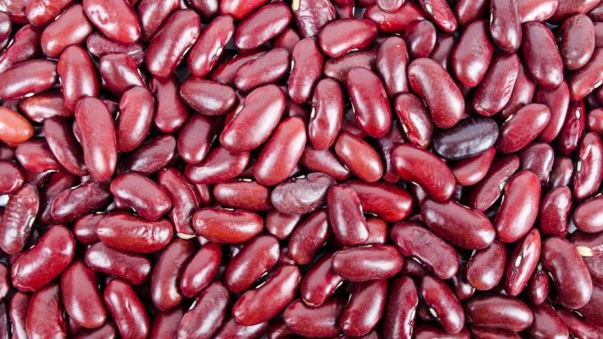 can you microwave kidney beans