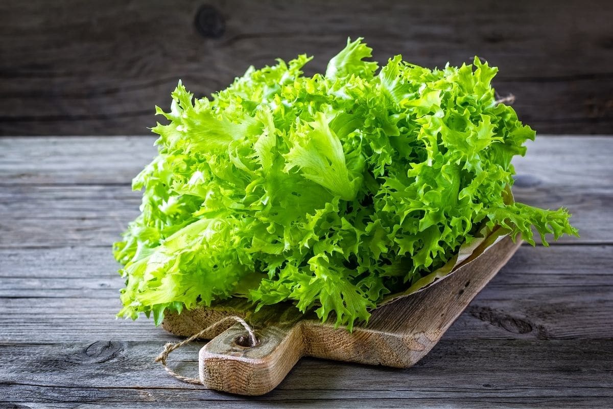 Fresh organic lettuce on a wooden cutting board.