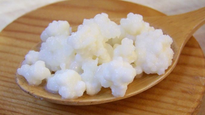 kefir