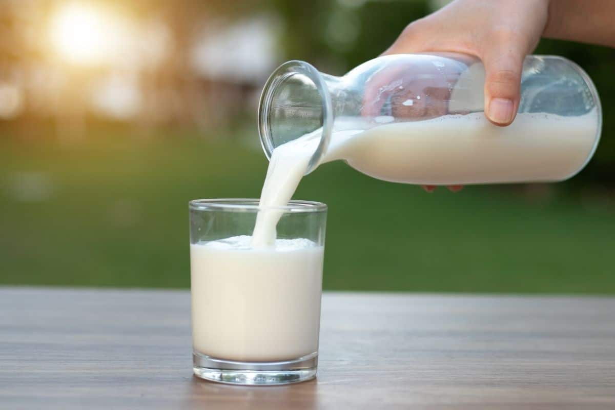 MIlk poured from glass bottle into glass cup on sunny day.