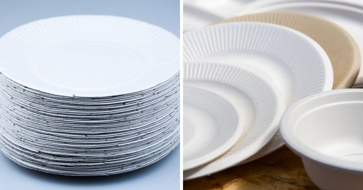 Can You Microwave Paper Plates? Quick HowTo Guide