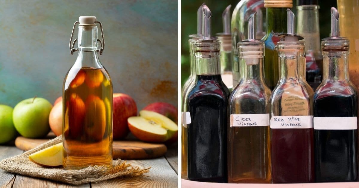 Can You Microwave Vinegar? Quick Informational Guide