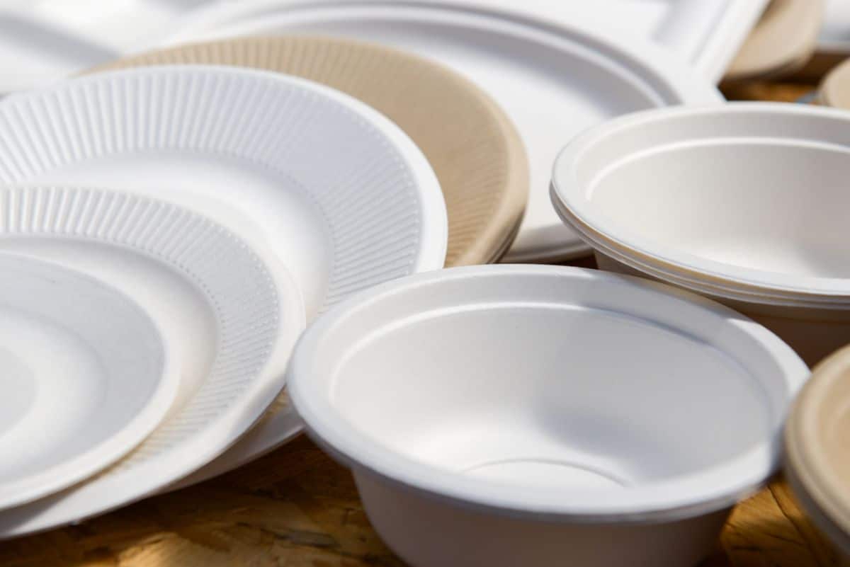 Different types of paper plates.