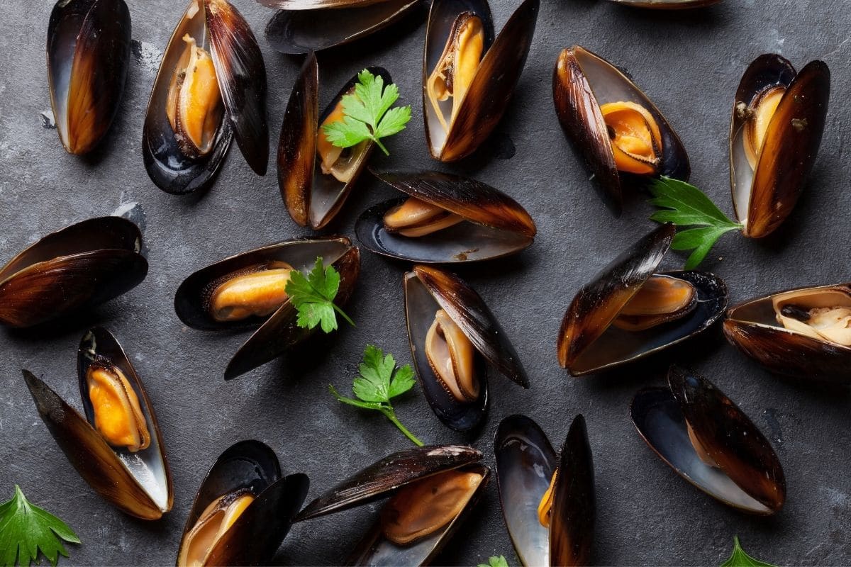 Mussels with herbs on gray stone table.