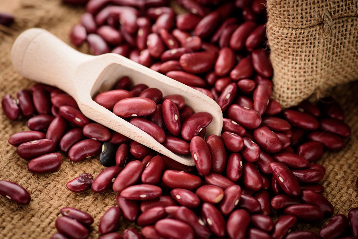 Scatered red kidney beans with wooden spoon.