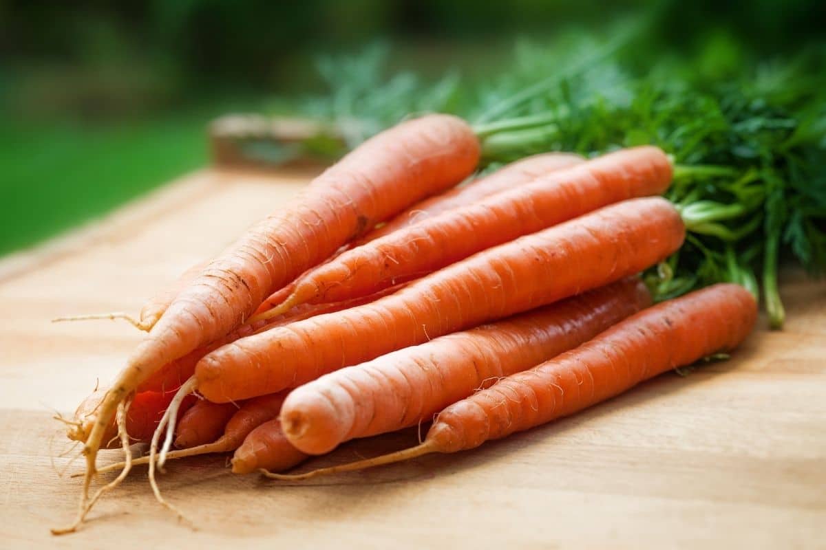 Bunch of organic fresh carrots on wooden cutting board.