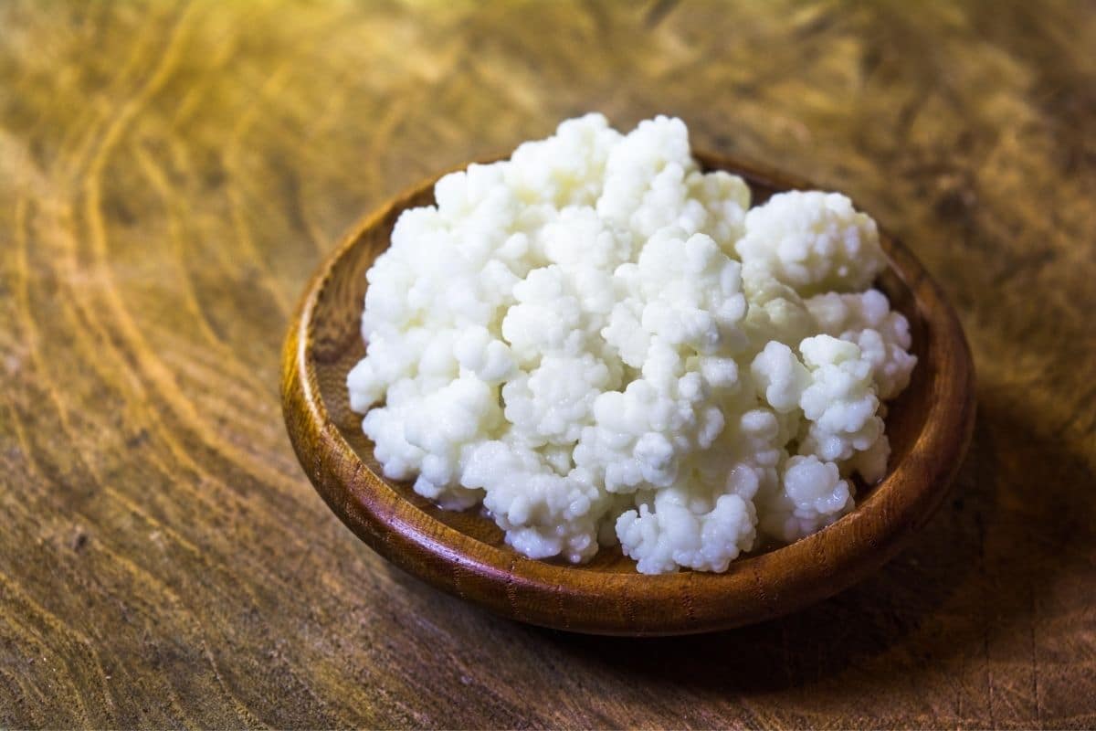 Fresh kefir grains on wooden plate on wooden table.