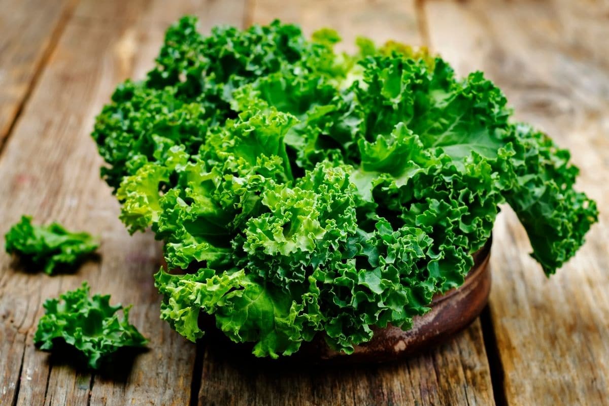 Fresh organic kale salad in bowl on wooden table.