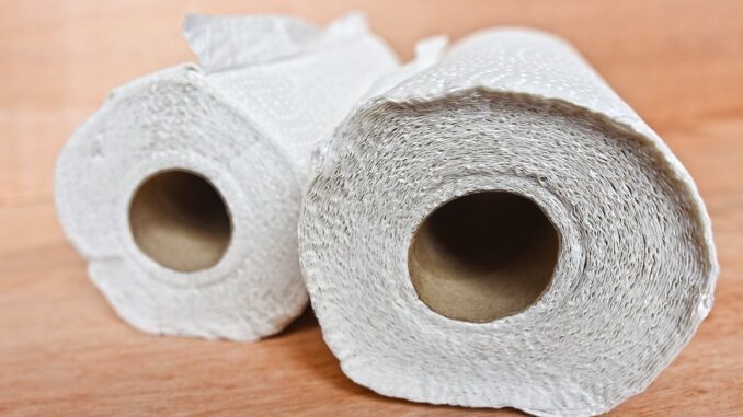 Can You Microwave Paper Towels? – Is It Safe? (Answered)