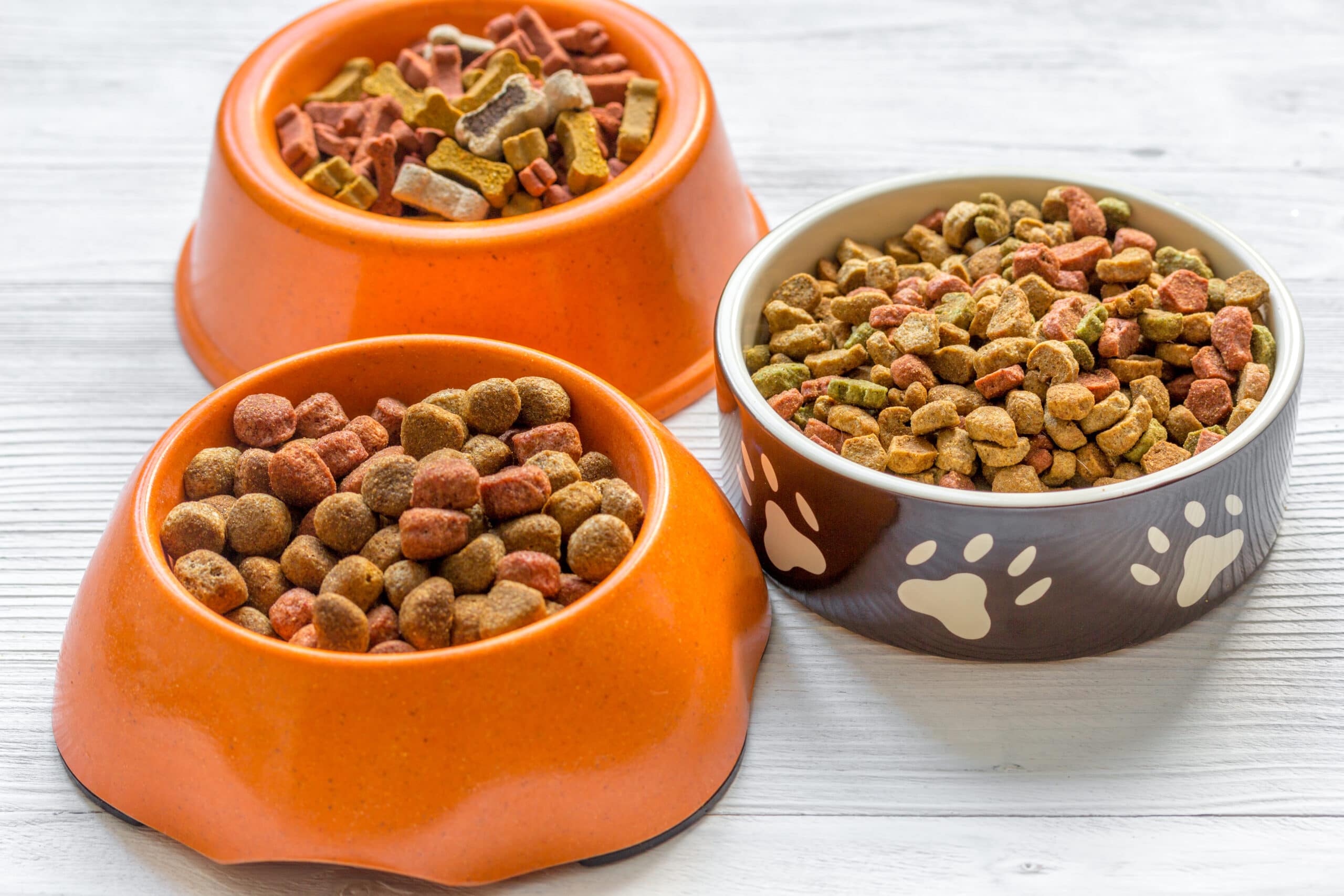 Three bowls of dry dog food on white background.