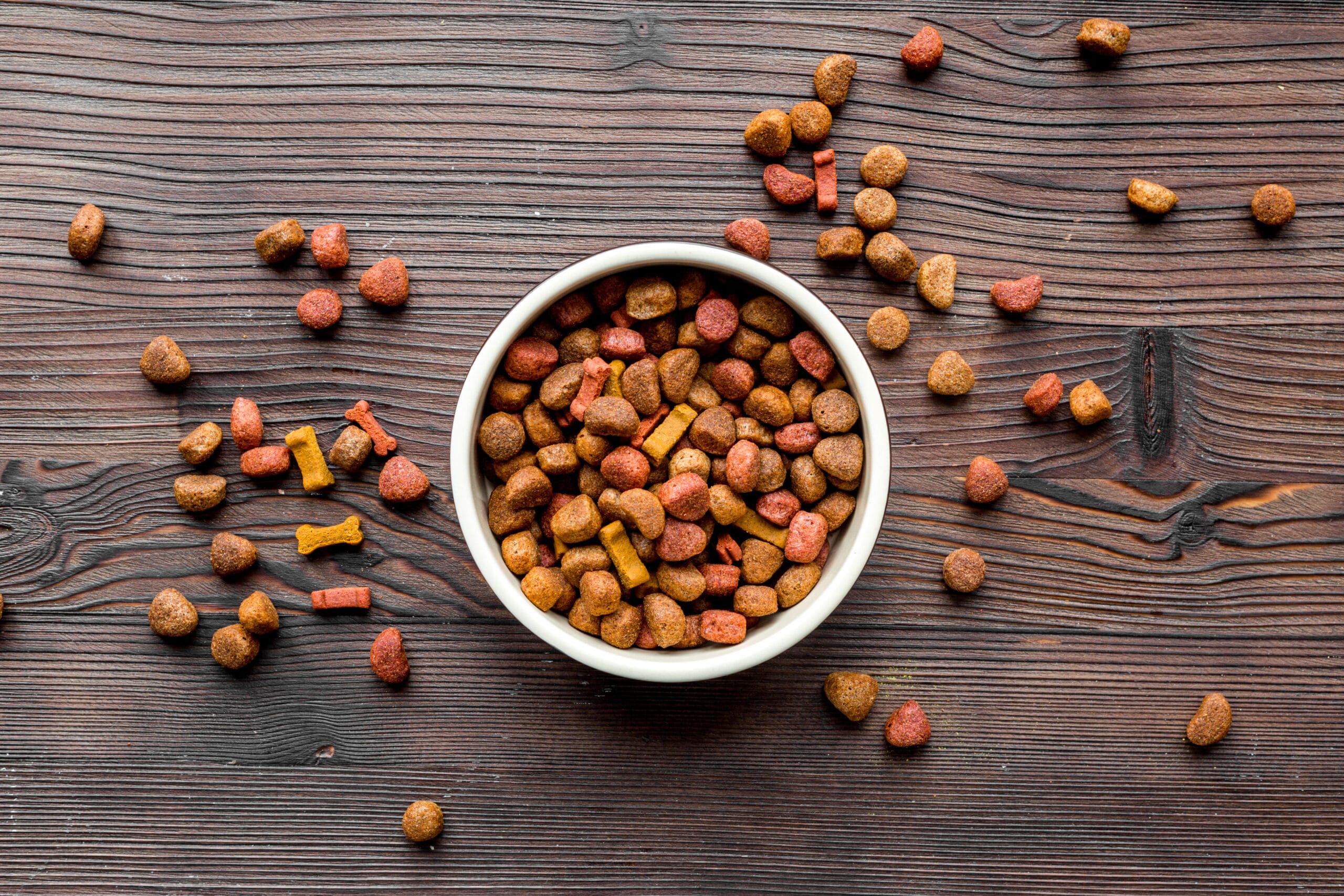 Bowl of dry dog food on table with scattered dog food around.