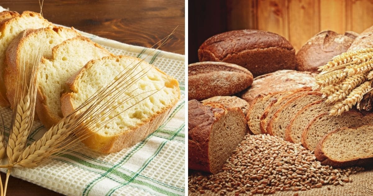 So, Can You Microwave Bread? (Full Explanation)