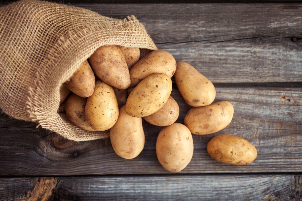 Sack of potatoes spilled on wooden table.