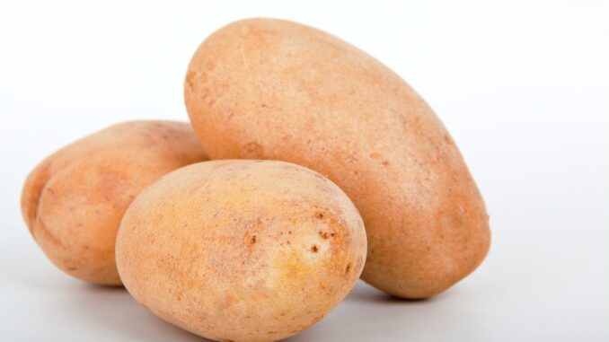 can you microwave potatoes