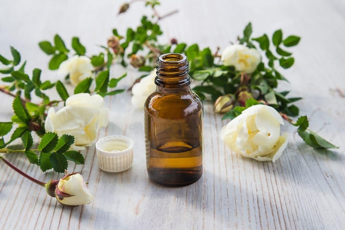 Glass jar of essential oil on table with white roses