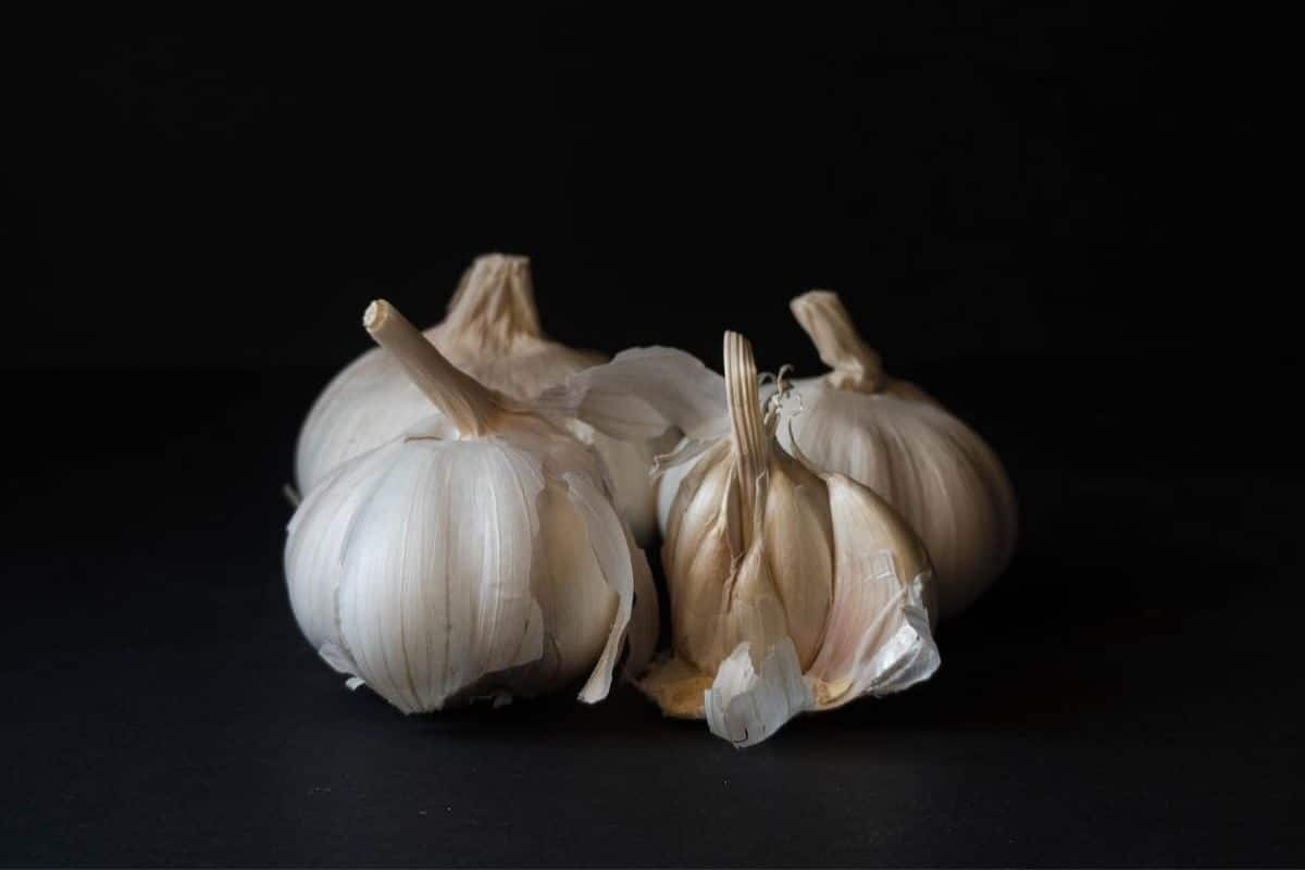 Fresh garlic on black background