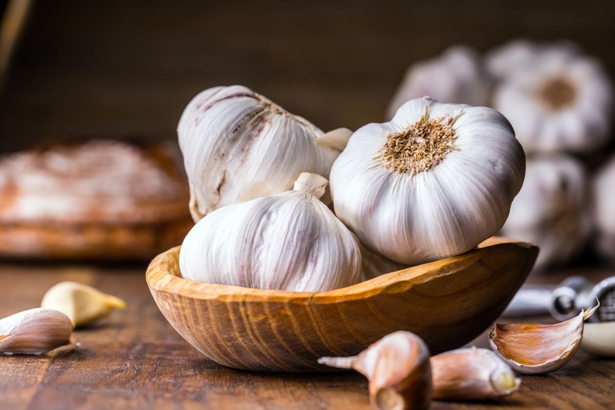 Fresh garlic in wooden bowl and on wooden table