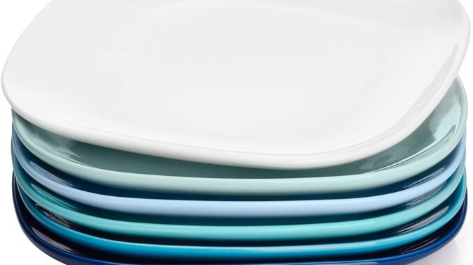 Best Microwave Safe Plates – Top 5 Plates Reviewed – Can You Microwave