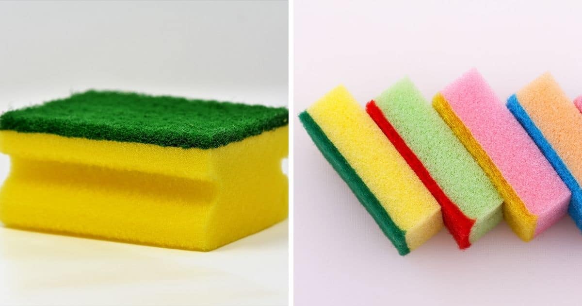 Can You Microwave A Sponge Fb 