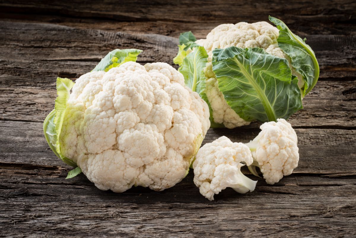 Fresh raw organic cauliflower on wooden table.