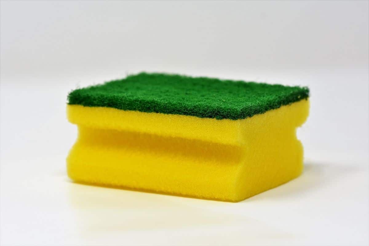 Green yellow sponge on white background.