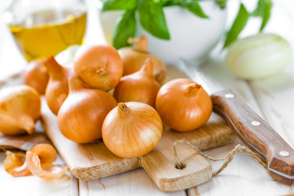 Bunch of whole onions on wooden cutting board on table with knife