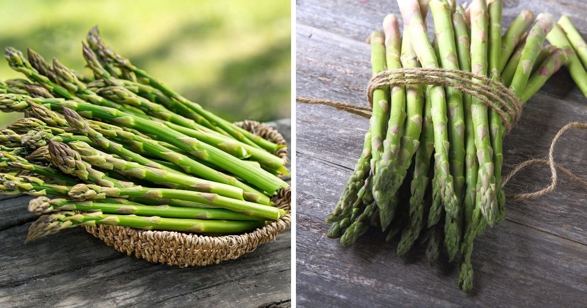 Can You Microwave Asparagus? (Answered)