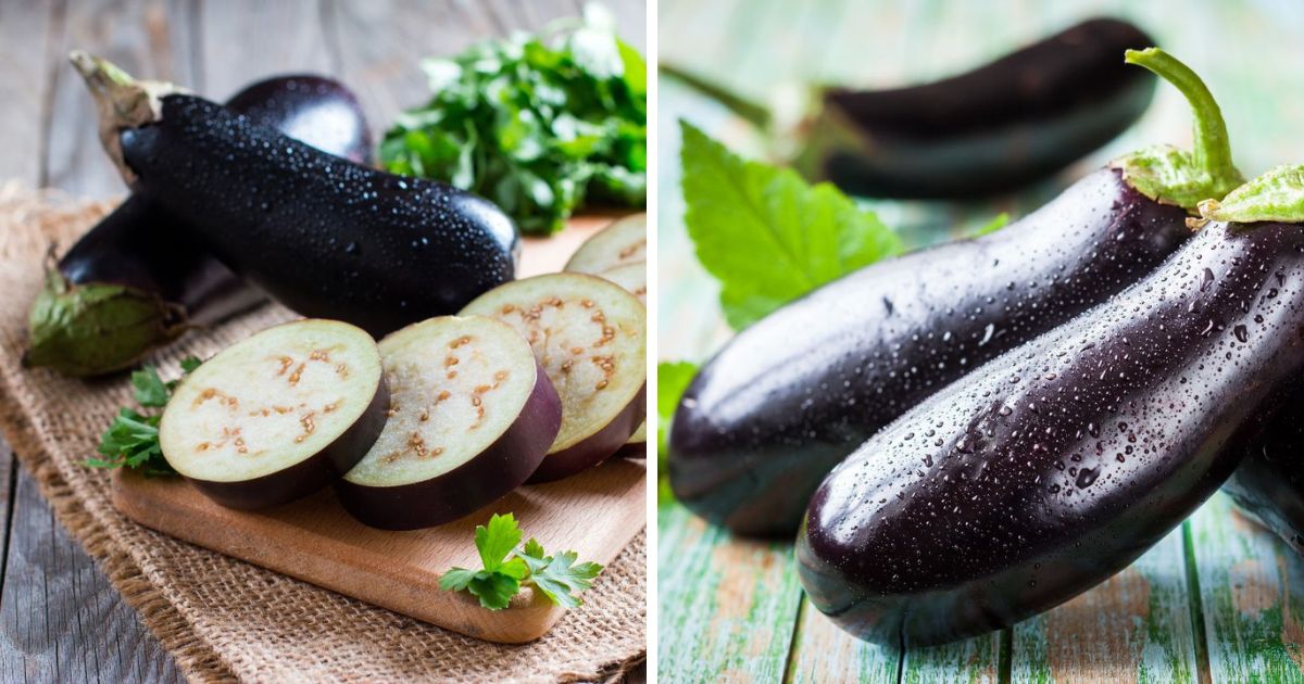 Can You Microwave an Eggplant? (Answered)