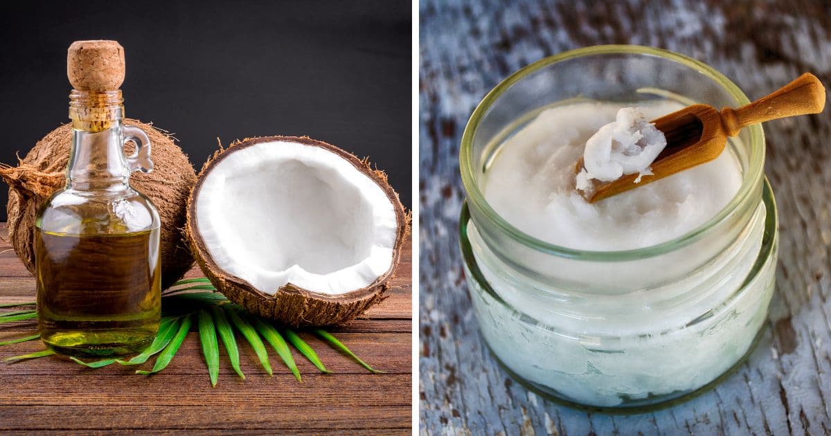 Can You Microwave Coconut Oil? Step by Step Guide
