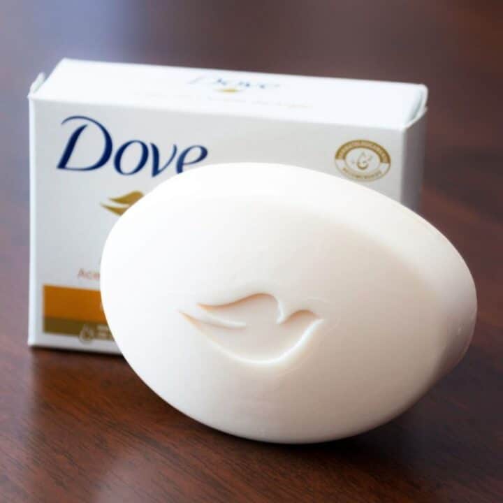 Can You Microwave Porcelain? (Answered)