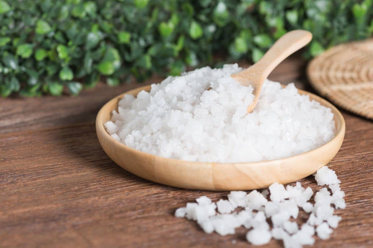 Epsom salt on wooden plate with spoon on wooden table