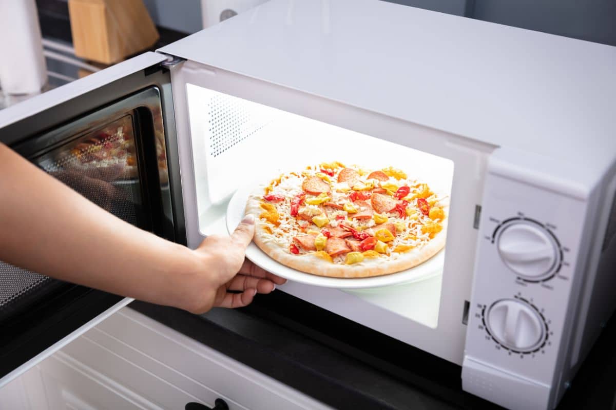 Hand putting pizza on plate into microwave