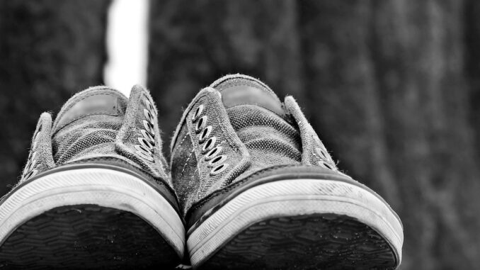 can you microwave shoes