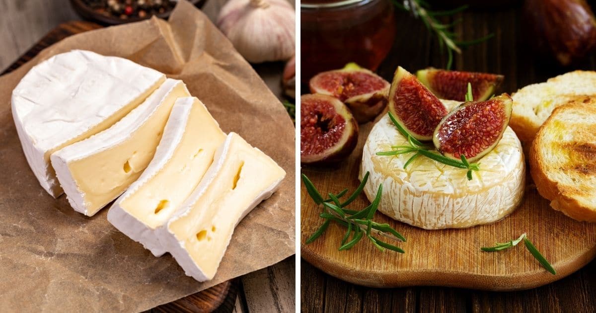 How to Melt Brie Cheese in the Microwave? (Answered)