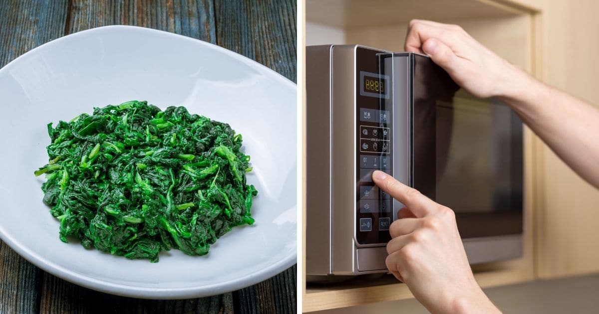 How To Steam Spinach In Microwave Can You Microwave This?
