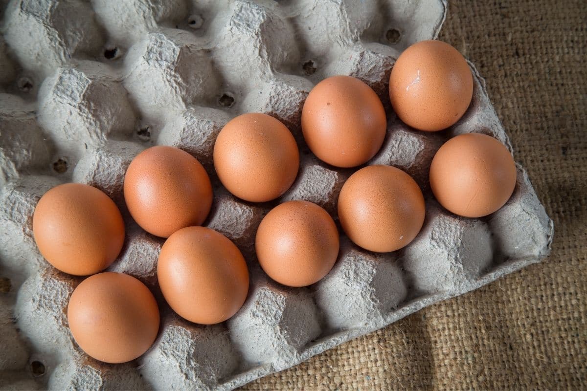 Fresh eggs in egg carton