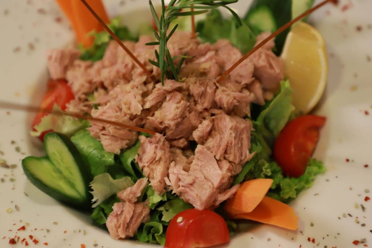 Tuna salad with vegetable on white plate