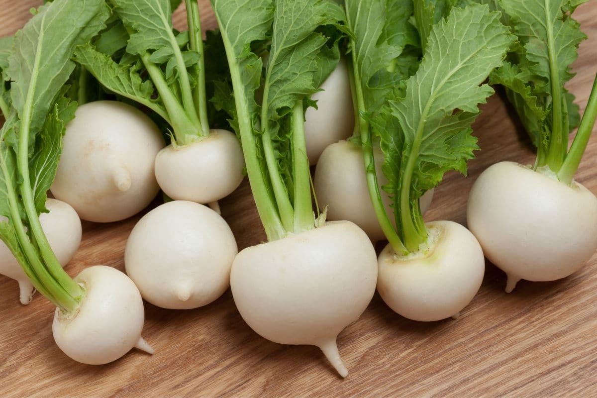 Bunch of white turnips on wooden table