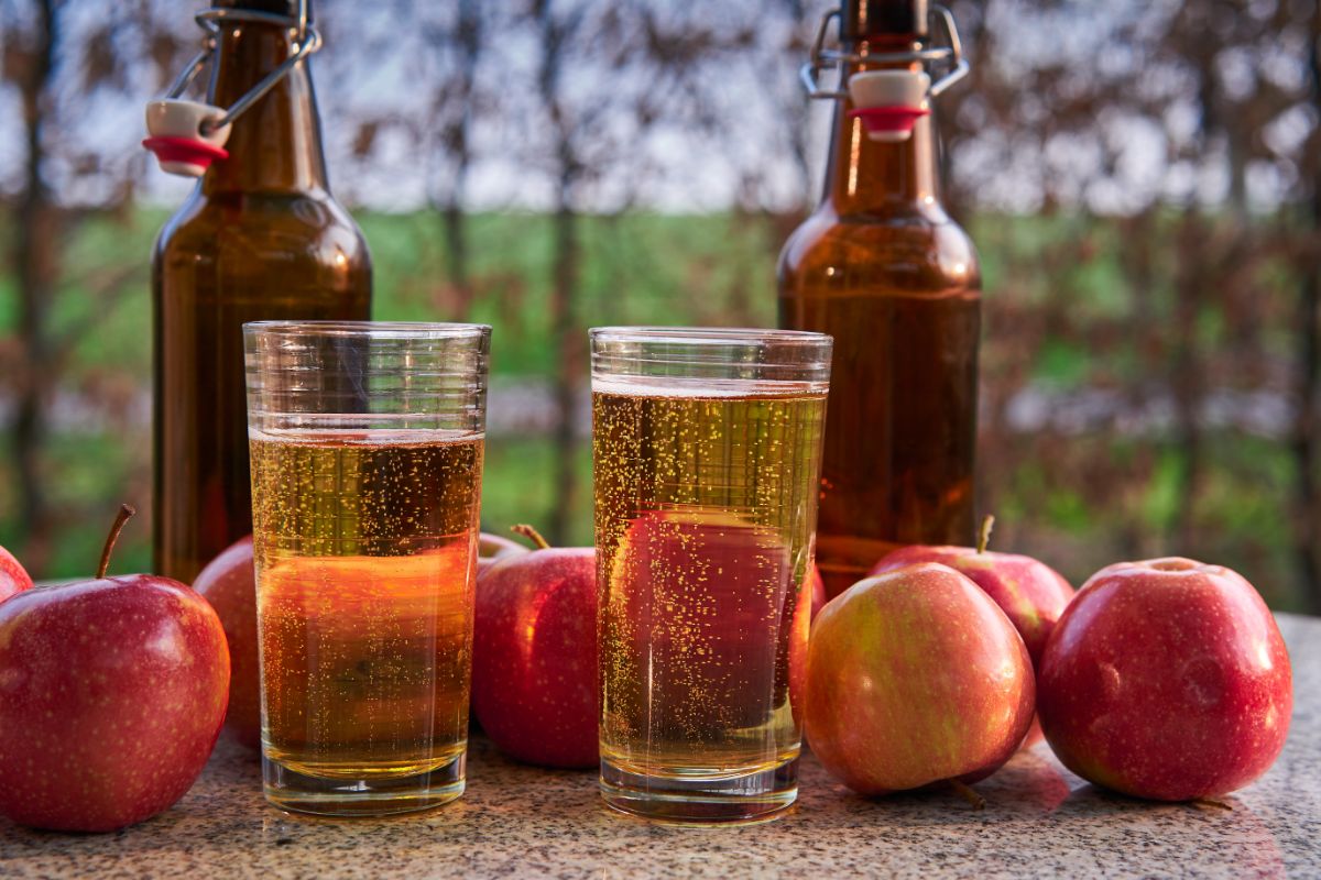 Two  glass of apple cider  and fresh apples, two bottles on a table.