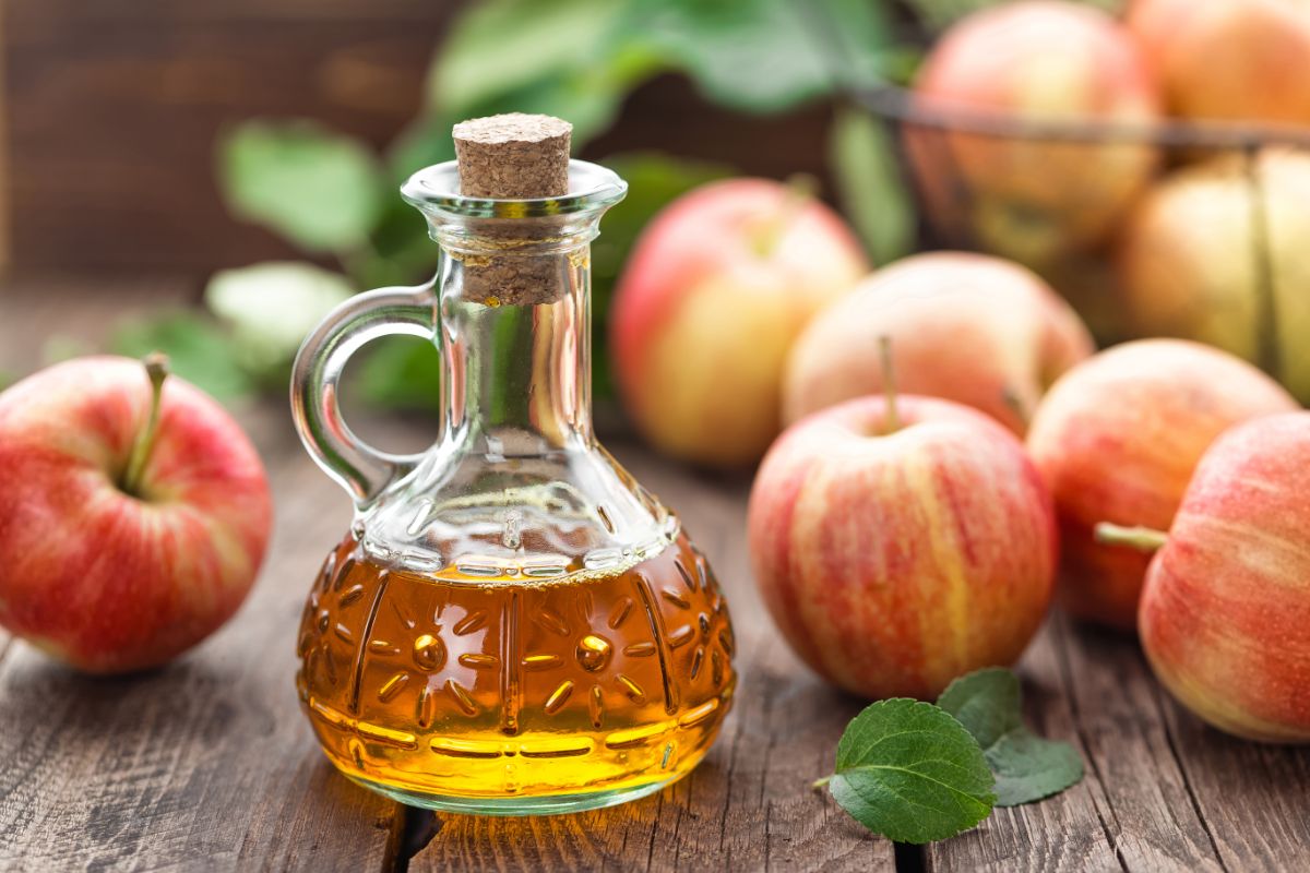 Bottle of apple cider on a wooden table with ripe apples  around.