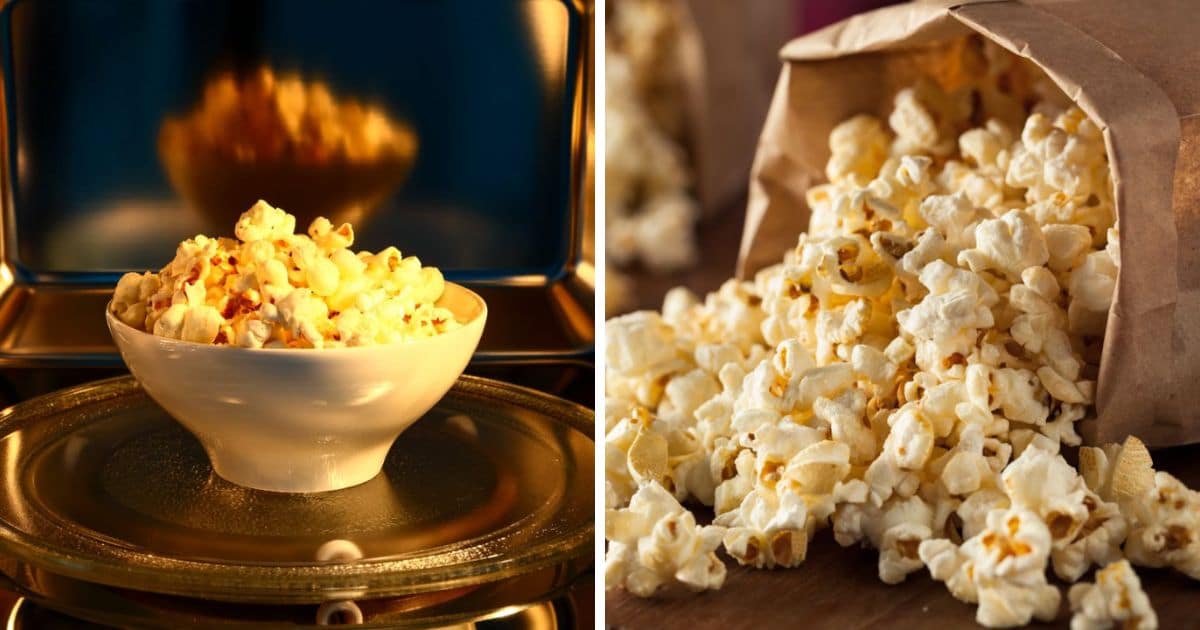 Can You Microwave Popcorn Kernels? (Answered!) Can You Microwave This?