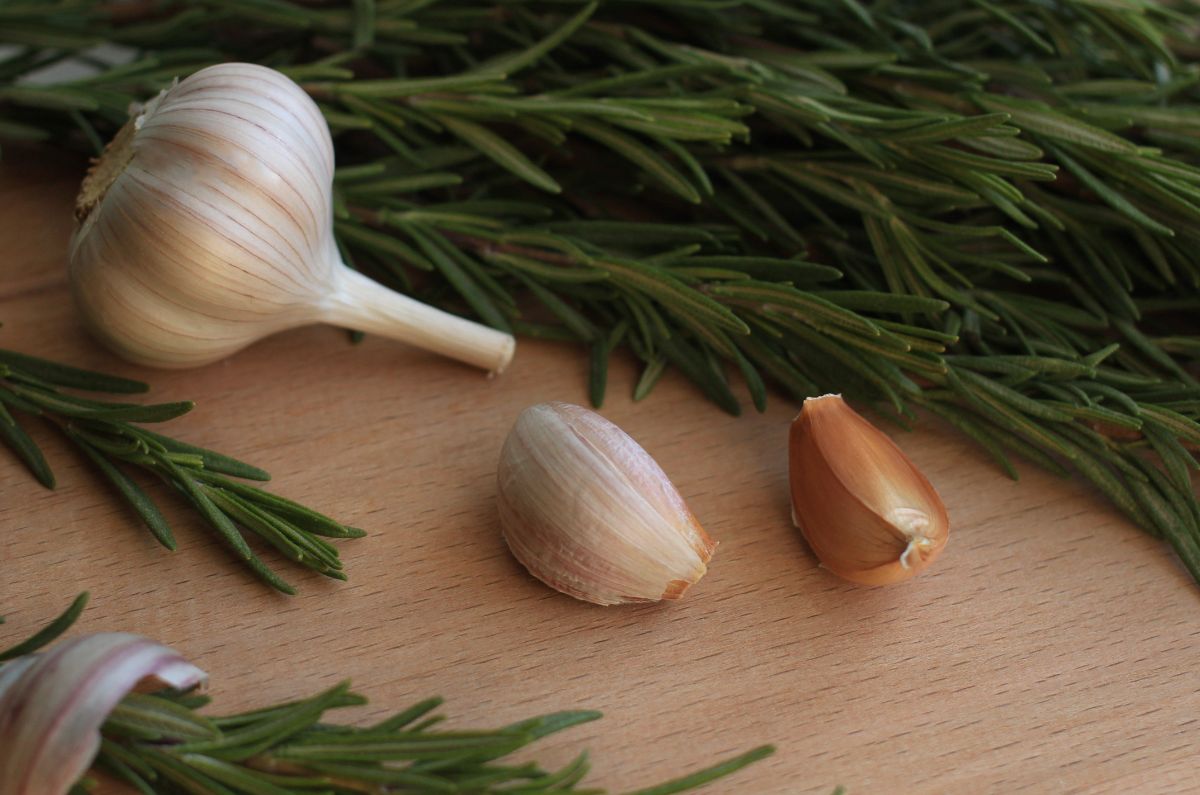 Garlic and garlic head on a table next to herb.