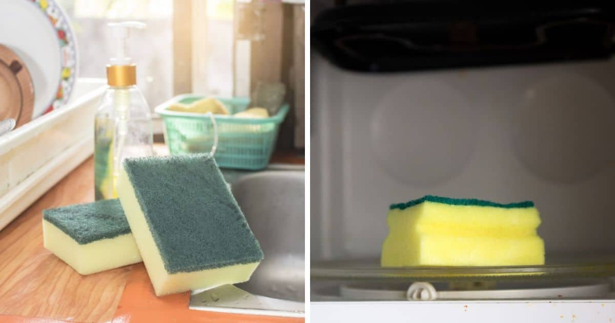 How Long to Microwave Sponge? (Answered!) Can You Microwave This?