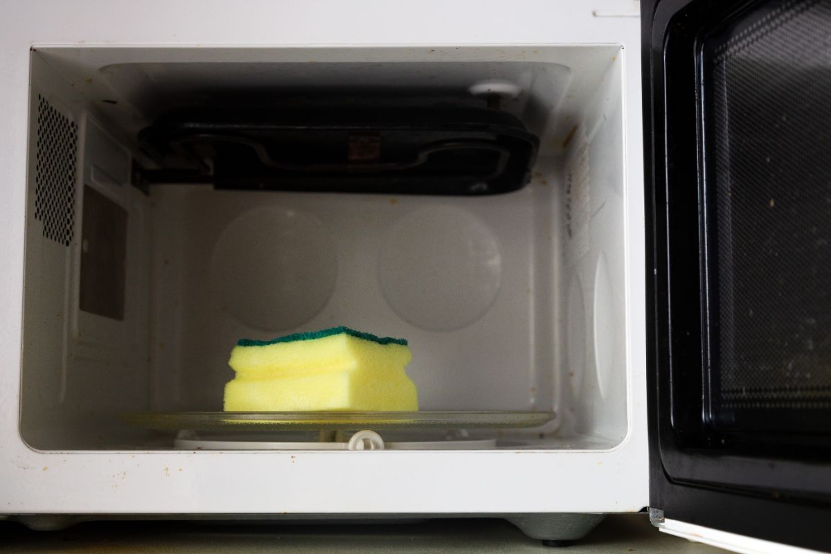 Kitchen sponge in a microwave.