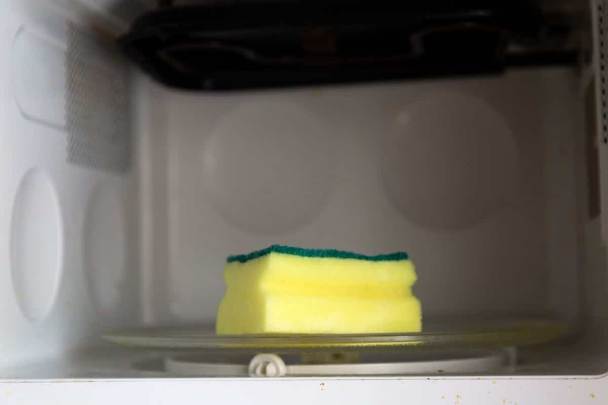 Kitchen sponge in a microwave.