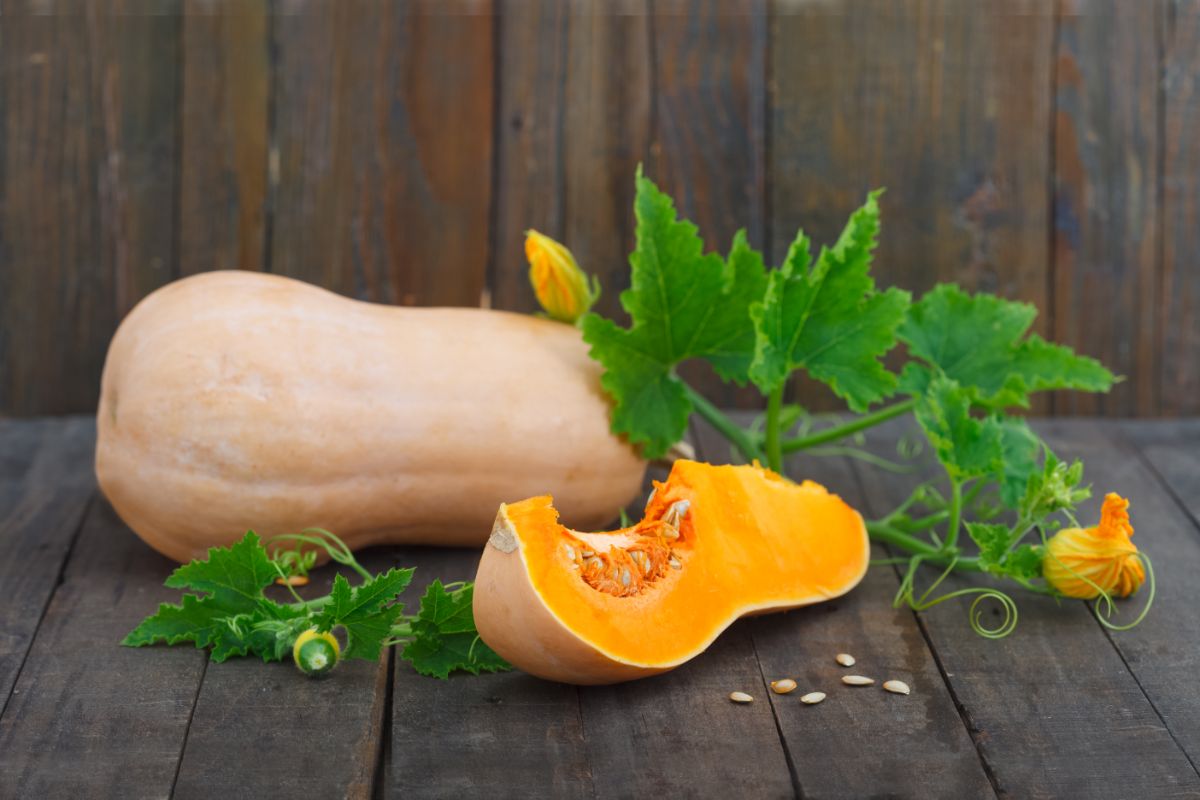 Butternut squash  on a wooden table with a herb.