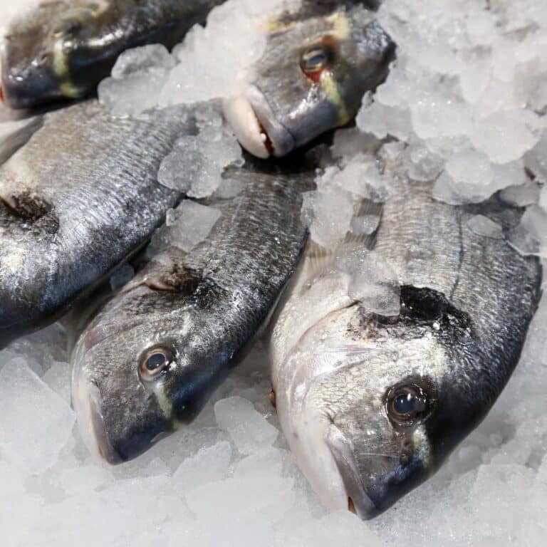 Can You Microwave This? - Find out what you can and cannot put in your