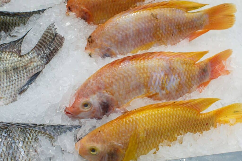 Can You Defrost Fish in the Microwave? (Do’s and Don’ts) Can You