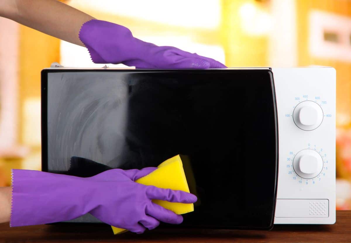 Hands with purple gloves cleaning a microwave.