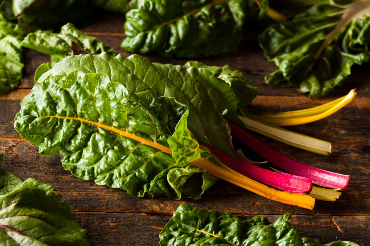 A bunch of freshly harvested chard on a wooden board.